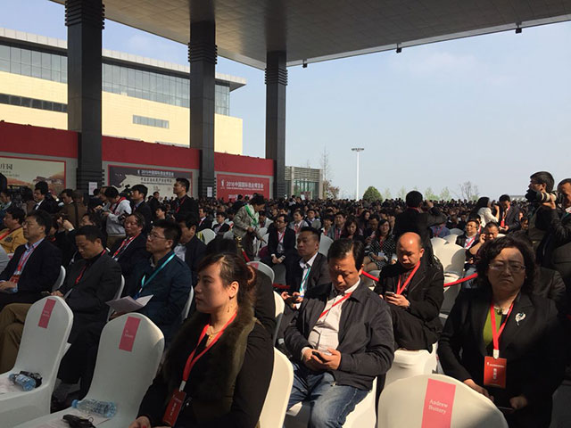 2015ЇHƘI(y)[(hu)ʽ_Ļ 2015ЇHƘI(y)[(hu)ʽ_Ļ